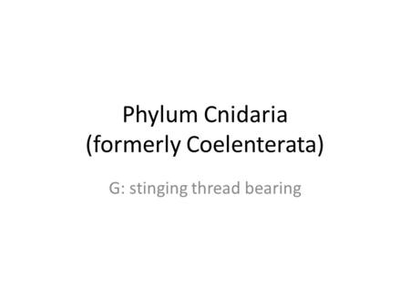 Phylum Cnidaria (formerly Coelenterata) G: stinging thread bearing.