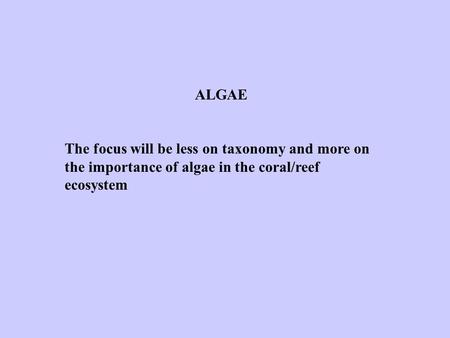ALGAE The focus will be less on taxonomy and more on the importance of algae in the coral/reef ecosystem.