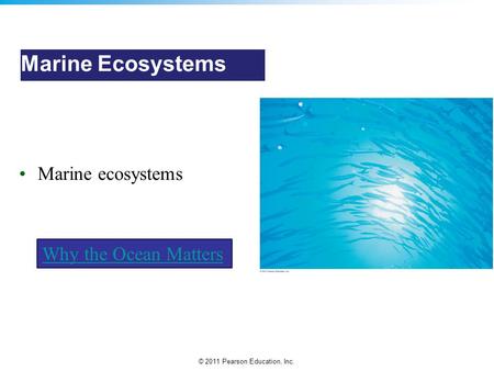 Marine Ecosystems Marine ecosystems Why the Ocean Matters.