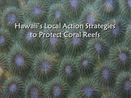 Hawaii’s Local Action Strategies to Protect Coral Reefs.
