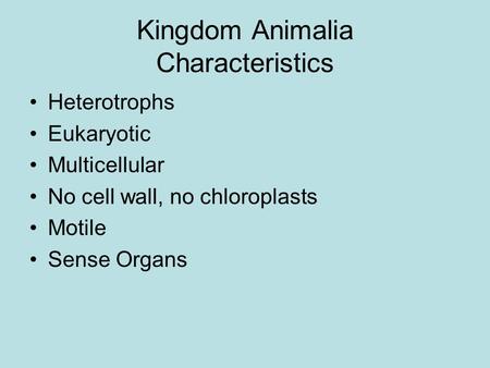 Kingdom Animalia Characteristics Heterotrophs Eukaryotic Multicellular No cell wall, no chloroplasts Motile Sense Organs.