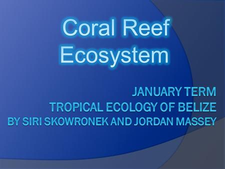 What is a Coral Reef? A. An ecosystem formed by millions of coral organisms called polyps i. A system of interconnected elements, formed by the interaction.