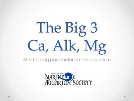The Big 3 Ca, Alk, Mg Maintaining parameters in the aquarium.