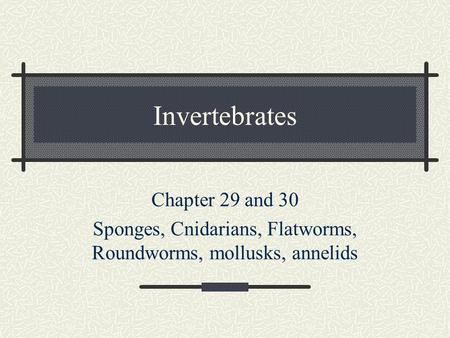 Sponges, Cnidarians, Flatworms, Roundworms, mollusks, annelids