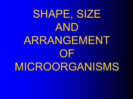 SHAPE, SIZE AND ARRANGEMENT OF MICROORGANISMS SHAPE, SIZE AND ARRANGEMENT OF MICROORGANISMS.