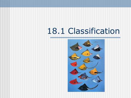 18.1 Classification. The need for systems. I. Taxonomy- the science of describing, naming and classifying organisms. a. this is necessary because there.