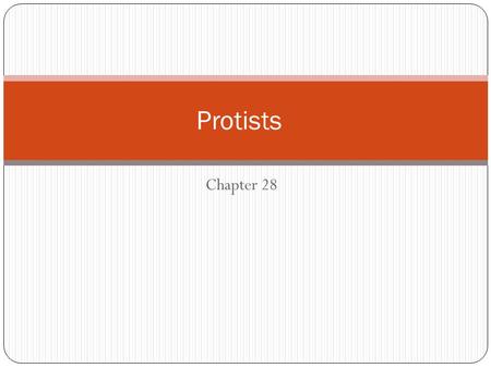 Protists Chapter 28.