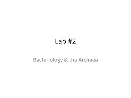 Lab #2 Bacteriology & the Archaea. Bacterial Groups 1. Proteobacteria: diverse group of gram negative bacteria – 5 well-established groups alpha beta.