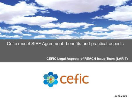 Cefic model SIEF Agreement: benefits and practical aspects CEFIC Legal Aspects of REACH Issue Team (LARIT) June 2009.