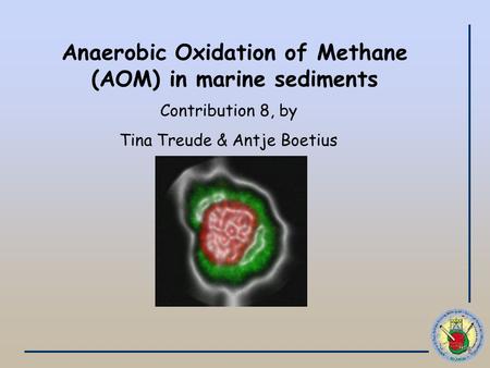 Anaerobic Oxidation of Methane (AOM) in marine sediments Contribution 8, by Tina Treude & Antje Boetius.