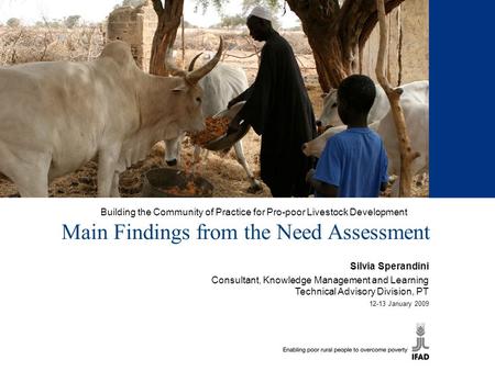 Building the Community of Practice for Pro-poor Livestock Development Main Findings from the Need Assessment Silvia Sperandini Consultant, Knowledge Management.