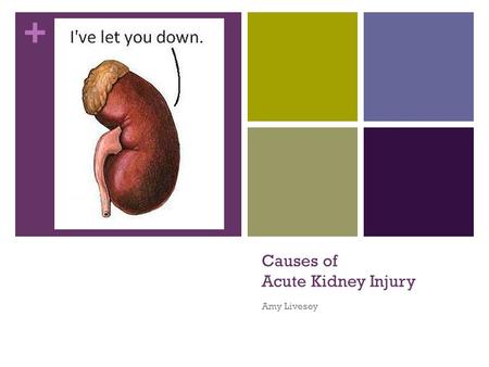 + Causes of Acute Kidney Injury Amy Livesey. + Overview Why Acute Kidney Injury? Definition Recap of types of AKI Causes of Acute Kidney Injury How to.