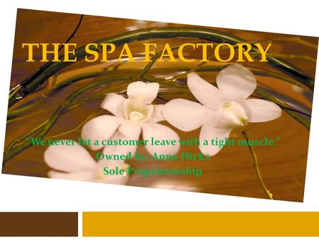 THE SPA FACTORY “We never let a customer leave with a tight muscle.” Owned by: Anna Hicks Sole Proprietorship.