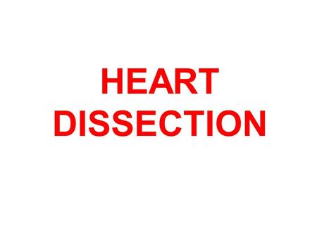 HEART DISSECTION.