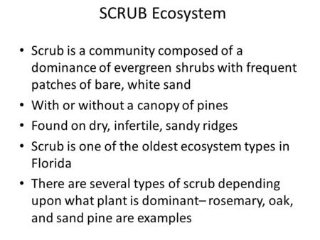 SCRUB Ecosystem Scrub is a community composed of a dominance of evergreen shrubs with frequent patches of bare, white sand With or without a canopy of.