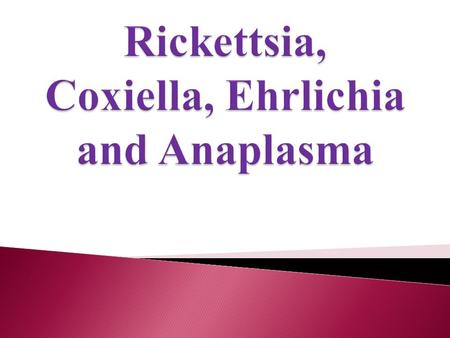 Rickettsia, Coxiella, Ehrlichia and Anaplasma