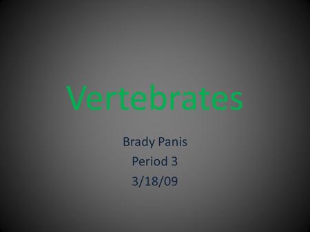 Vertebrates Brady Panis Period 3 3/18/09.