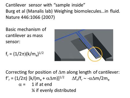 Cantilever sensor with “sample inside” Burg et al (Manalis lab) Weighing biomolecules…in fluid. Nature 446:1066 (2007) Basic mechanism of cantilever as.
