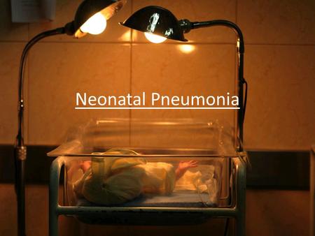 Neonatal Pneumonia. General Data 3 day old male Wt: 2360 g CC: “nanginigtim ang binti”