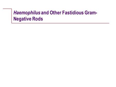 Haemophilus and Other Fastidious Gram-Negative Rods