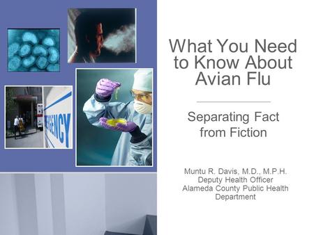 What You Need to Know About Avian Flu Muntu R. Davis, M.D., M.P.H. Deputy Health Officer Alameda County Public Health Department Separating Fact from Fiction.