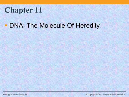 Chapter 11 DNA: The Molecule Of Heredity.