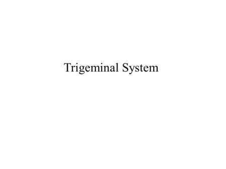 Trigeminal System.