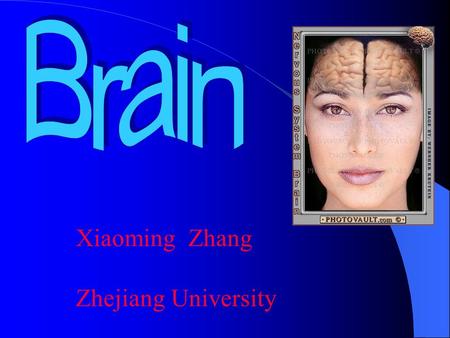Xiaoming Zhang Zhejiang University. pons myelencephalon telencephalon diencephalon cerebellum mid-brain pons myelencephalon Brain Stem.
