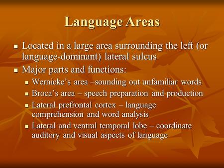 Language Areas Located in a large area surrounding the left (or language-dominant) lateral sulcus Major parts and functions: Wernicke’s area –sounding.
