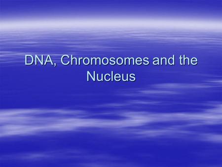 DNA, Chromosomes and the Nucleus. DNA Structure  What are some of the important structural features of the DNA double helix?