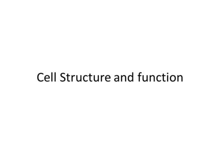 Cell Structure and function. Eukaryotic Cell Structure What are the major cell structures? What are their functions?