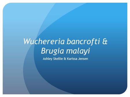 Wuchereria bancrofti & Brugia malayi