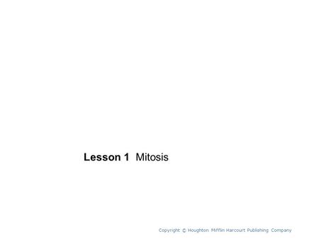Unit 6 Lesson 1 Mitosis Copyright © Houghton Mifflin Harcourt Publishing Company 1.