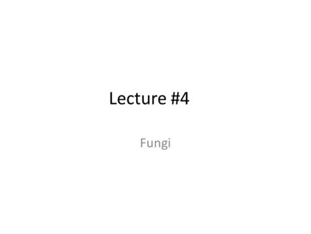 Lecture #4 Fungi.