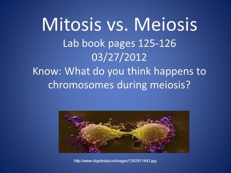 Mitosis vs. Meiosis Lab book pages 125-126 03/27/2012 Know: What do you think happens to chromosomes during meiosis?