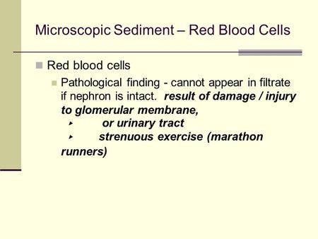 Microscopic Sediment – Red Blood Cells