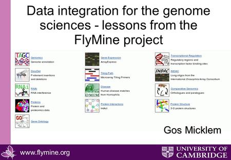 Www.flymine.org Data integration for the genome sciences - lessons from the FlyMine project Gos Micklem.