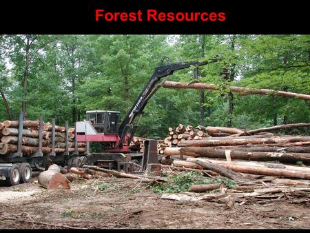 Forest Resources Clear Cutting forest harvesting that removes all trees from an area. Includes desirable AND undesirable species the land is left uncovered.