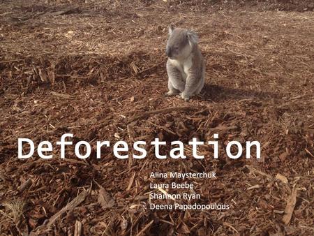 Deforestation Alina Maysterchuk Laura Beebe Shannon Ryan Deena Papadopoulous.