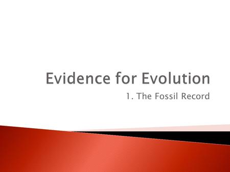 1. The Fossil Record.  When you think “fossil,” what comes to mind?  Oh,I know…  Fossil  Fossil – any part or trace of a once-living organism ◦ Many.