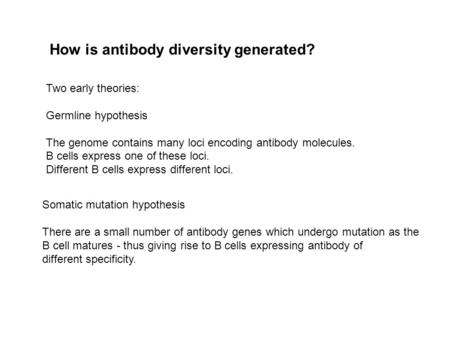 How is antibody diversity generated? Two early theories: Germline hypothesis The genome contains many loci encoding antibody molecules. B cells express.