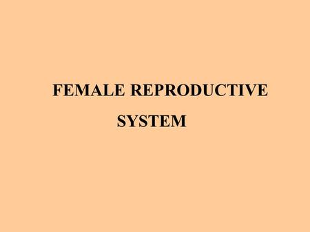 FEMALE REPRODUCTIVE SYSTEM.