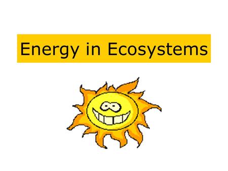 Energy in Ecosystems. The Flow of Energy The energy in ecosystems does not flow in cycles like matter does -such as nitrogen, water, carbon - but flows.