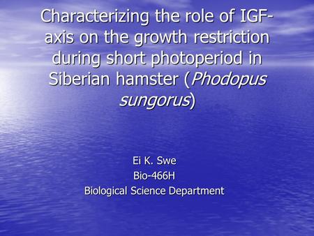 Characterizing the role of IGF- axis on the growth restriction during short photoperiod in Siberian hamster (Phodopus sungorus) Ei K. Swe Bio-466H Biological.