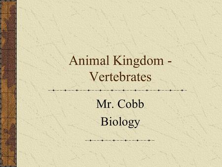 Animal Kingdom -Vertebrates