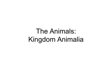 The Animals: Kingdom Animalia. Kingdom Animalia (Animals) Zoology is the study of animals. Animals are multicellular and eukaryotic. Animals consume organic.