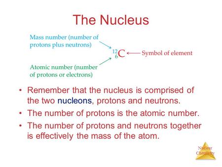 Nuclear Chemistry The Nucleus Remember that the nucleus is comprised of the two nucleons, protons and neutrons. The number of protons is the atomic number.