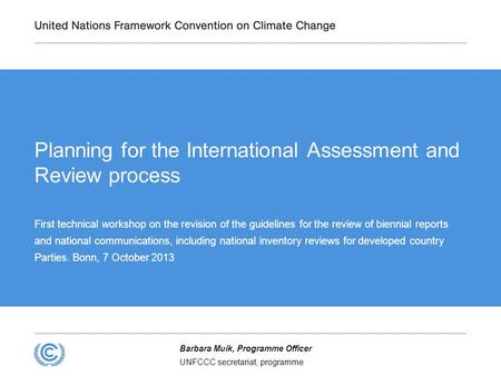 Planning for the International Assessment and Review process