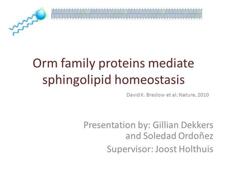 Orm family proteins mediate sphingolipid homeostasis Presentation by: Gillian Dekkers and Soledad Ordoñez Supervisor: Joost Holthuis David K. Breslow et.