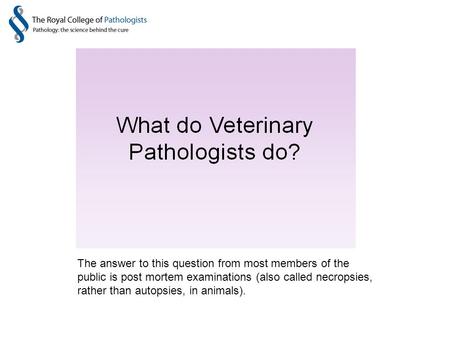 The answer to this question from most members of the public is post mortem examinations (also called necropsies, rather than autopsies, in animals).